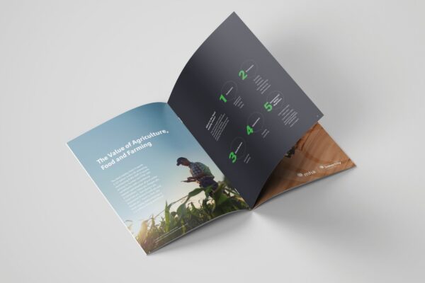 Πολυσέλιδο διαφημιστικό φυλλάδιο (brochure) | Blueprint.gr